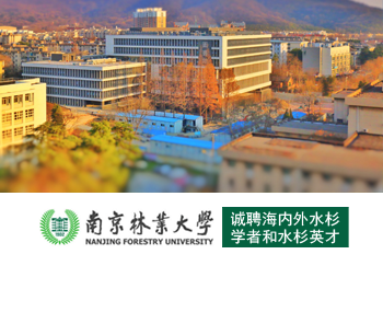 南京林业大学诚聘海内外水杉学者和水杉英才